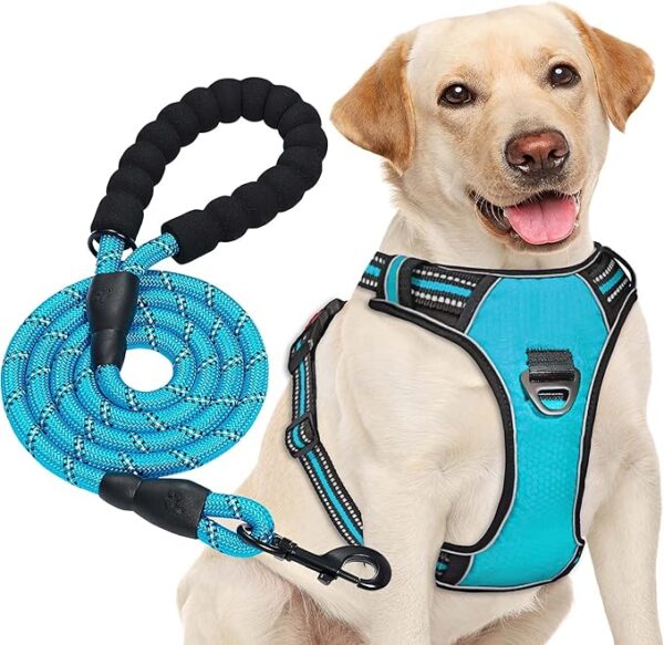 haapaw Arnés para Perro sin Tirar, Ajustable, Reflectante Oxford, fácil de controlar, Mediano y Grande, con una Correa para Perro Resistente