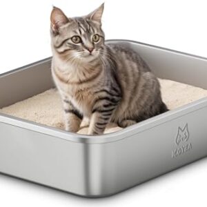 Arenero Gato Acero Inoxidable 40x30x10cm | Caja de Arena Antiadherente para Gatos, Gatitos, Conejos—Higiénica, Antideslizante y Fácil de Limpiar