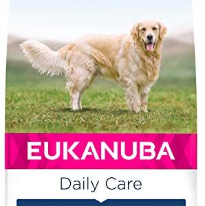 EUKANUBA Daily Care pienso seco para perros con sobrepeso y esterilizados | Bajo en grasa, con pollo fresco, 12 kg