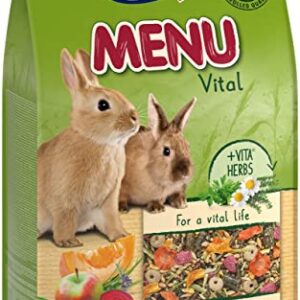 Vitakraft Menu Vital para conejos enanos – Comida natural con alfalfa, manzana y calabaza, sin cereales ni azúcar añadido, 3kg