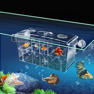 Paridera para Peces 4 en 1 Grande – Caja de Cría Flotante con Ventosas y Separadores, Aislamiento y Criadero para Guppys y Peces Tropicales